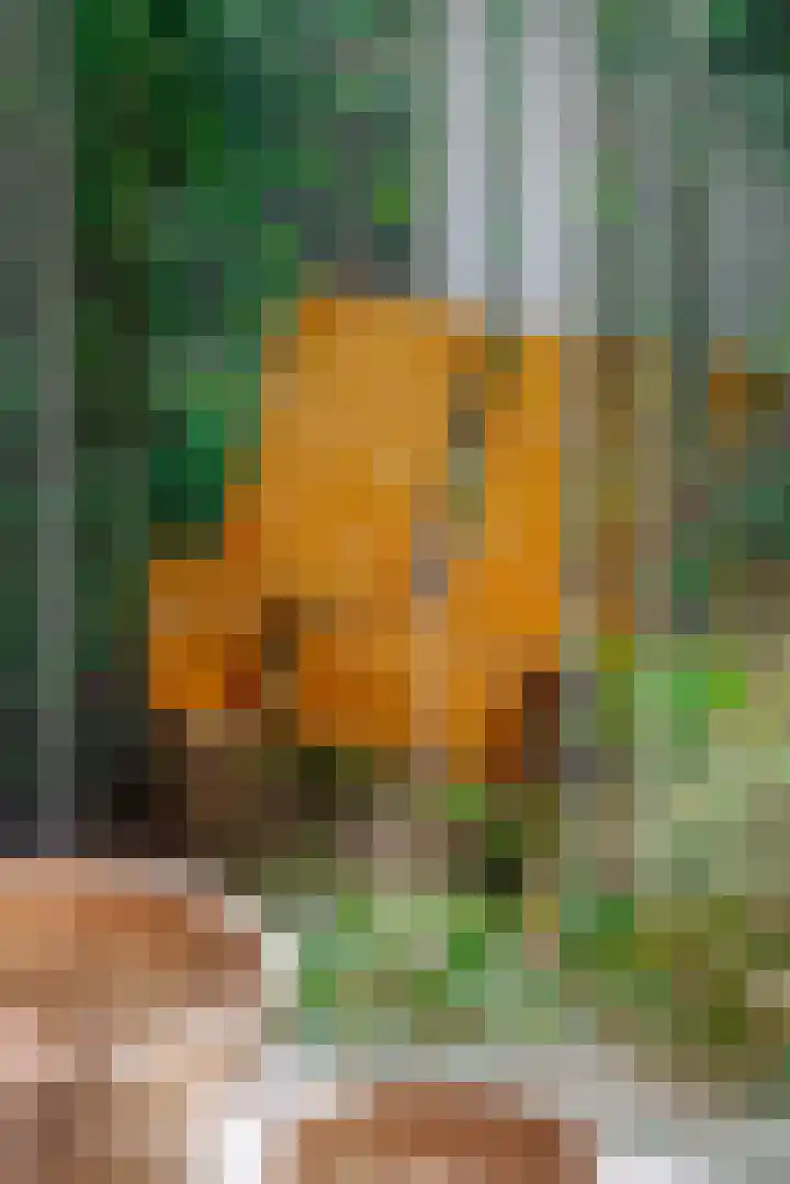 Groenhoven 607 Amsterdam thumbnail 10