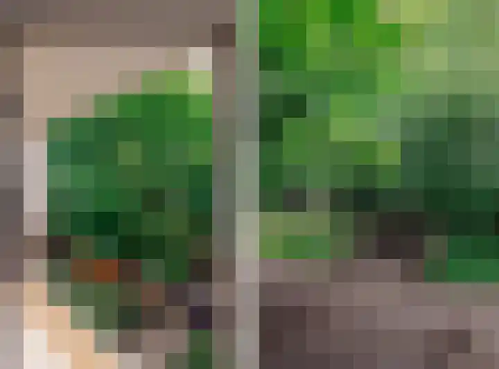 Groenhoven 607 Amsterdam thumbnail 12