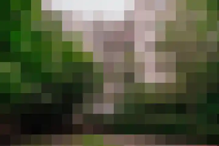 Groenhoven 607 Amsterdam thumbnail 20