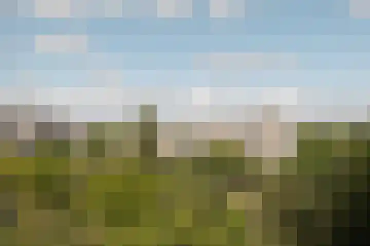 Groenhoven 607 Amsterdam thumbnail 22