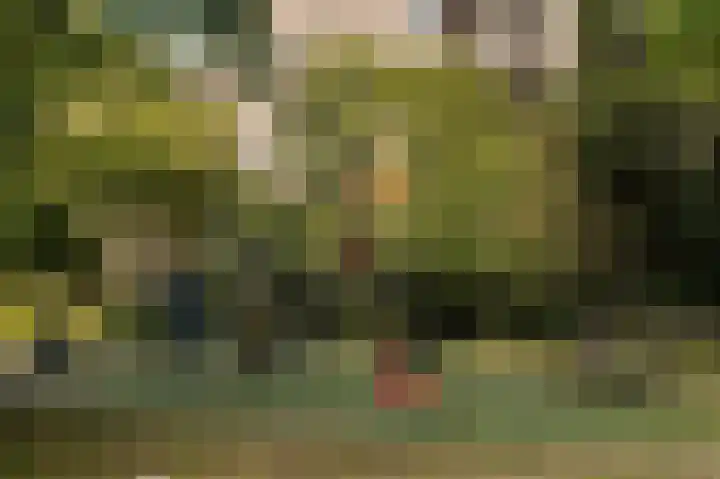 Groenhoven 607 Amsterdam thumbnail 26