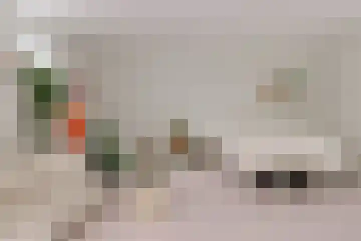 Groenhoven 607 Amsterdam thumbnail 7
