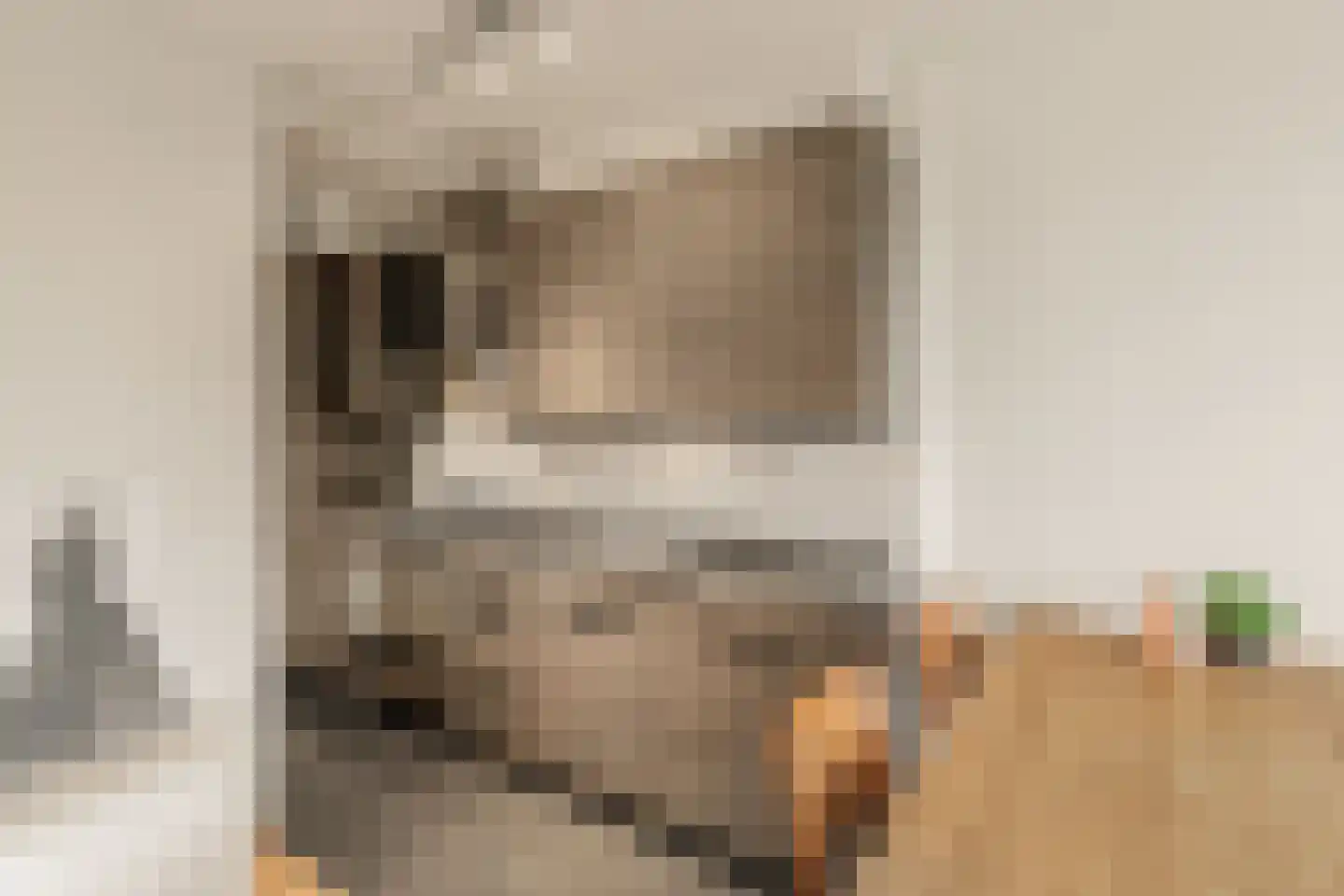 Groenhoven 626 Amsterdam thumbnail 10