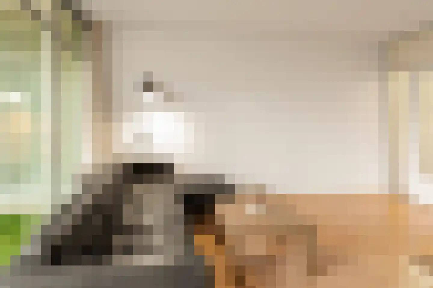 Groenhoven 626 Amsterdam thumbnail 17