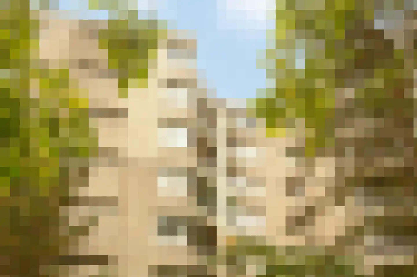Groenhoven 626 Amsterdam thumbnail 30