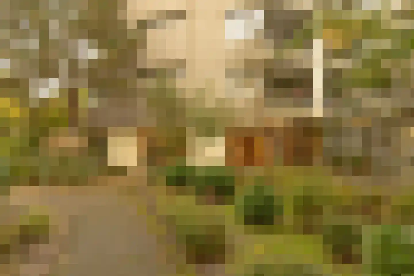 Groenhoven 626 Amsterdam thumbnail 31