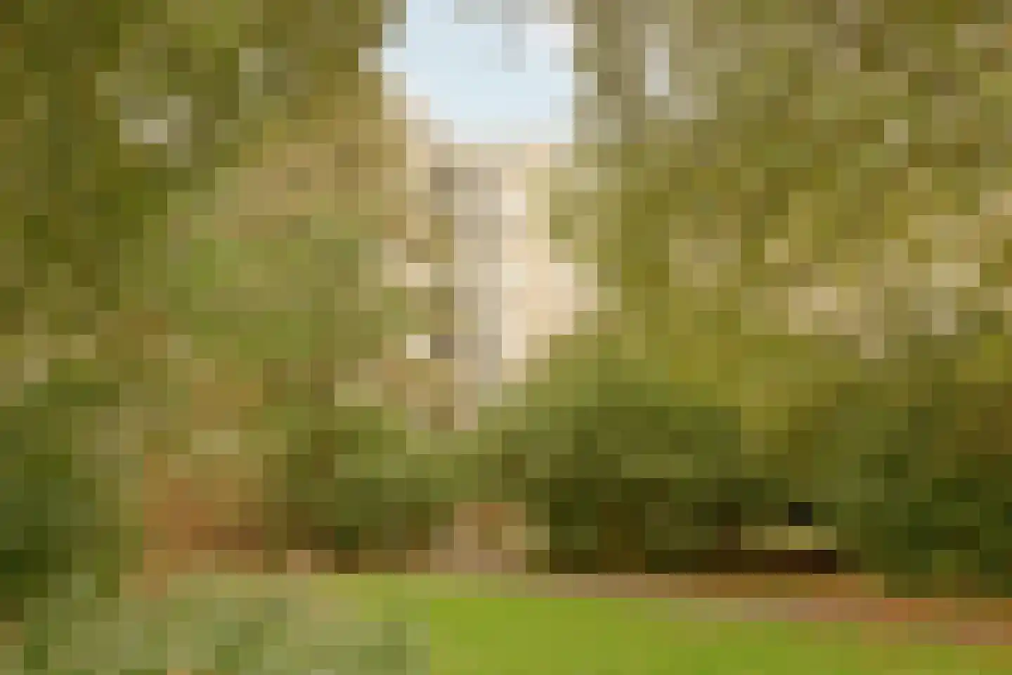 Groenhoven 626 Amsterdam thumbnail 32