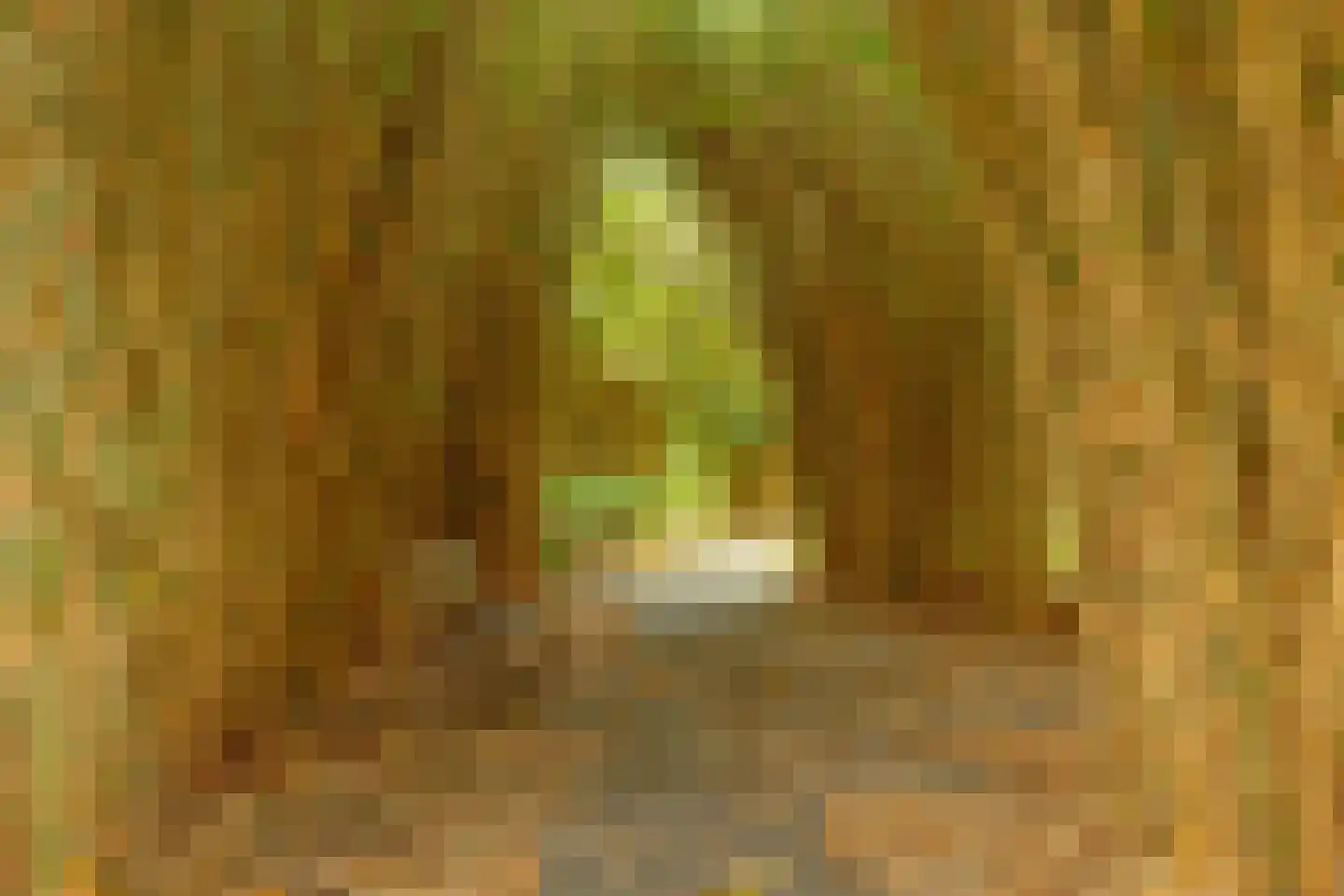 Groenhoven 626 Amsterdam thumbnail 33