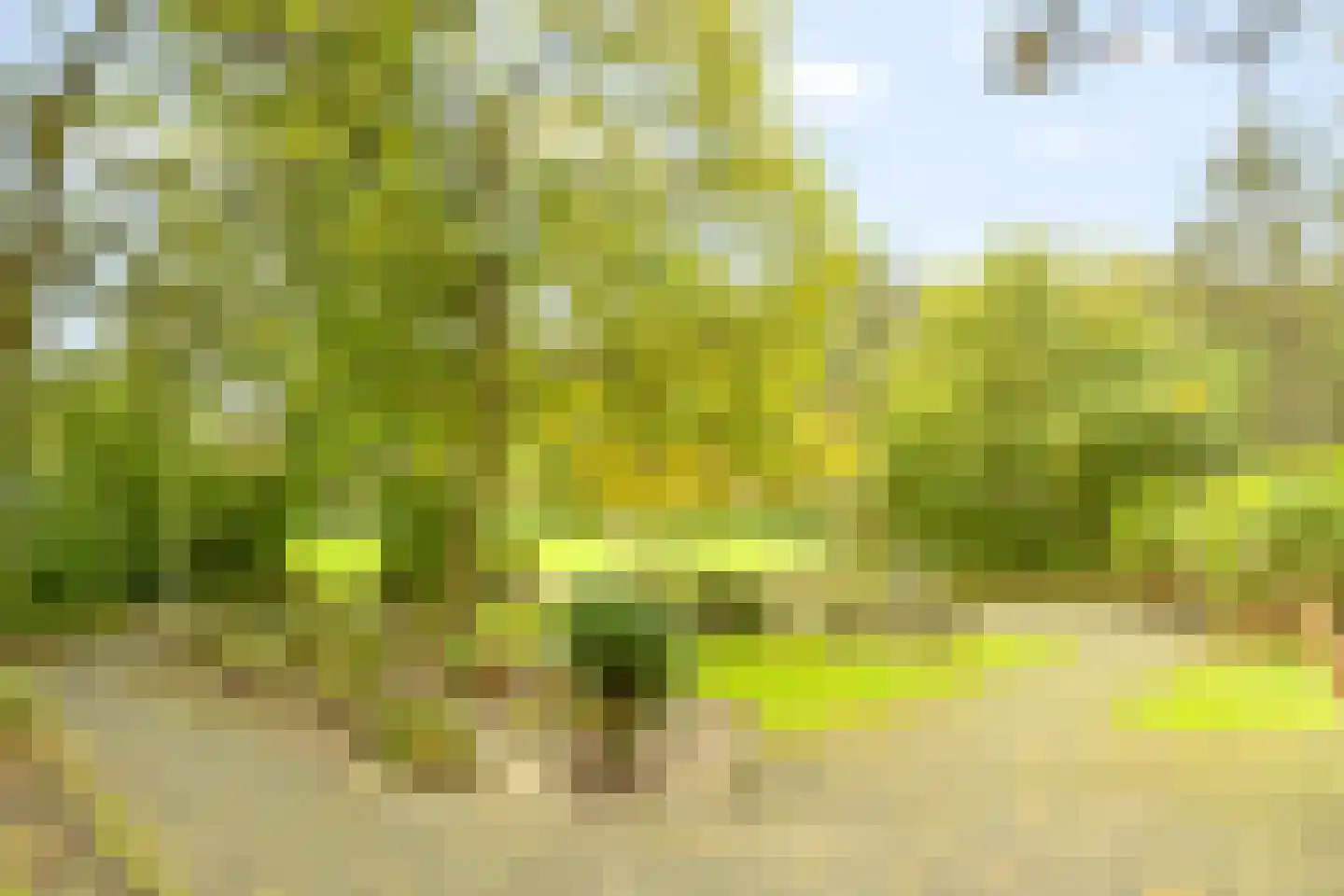 Groenhoven 626 Amsterdam thumbnail 34
