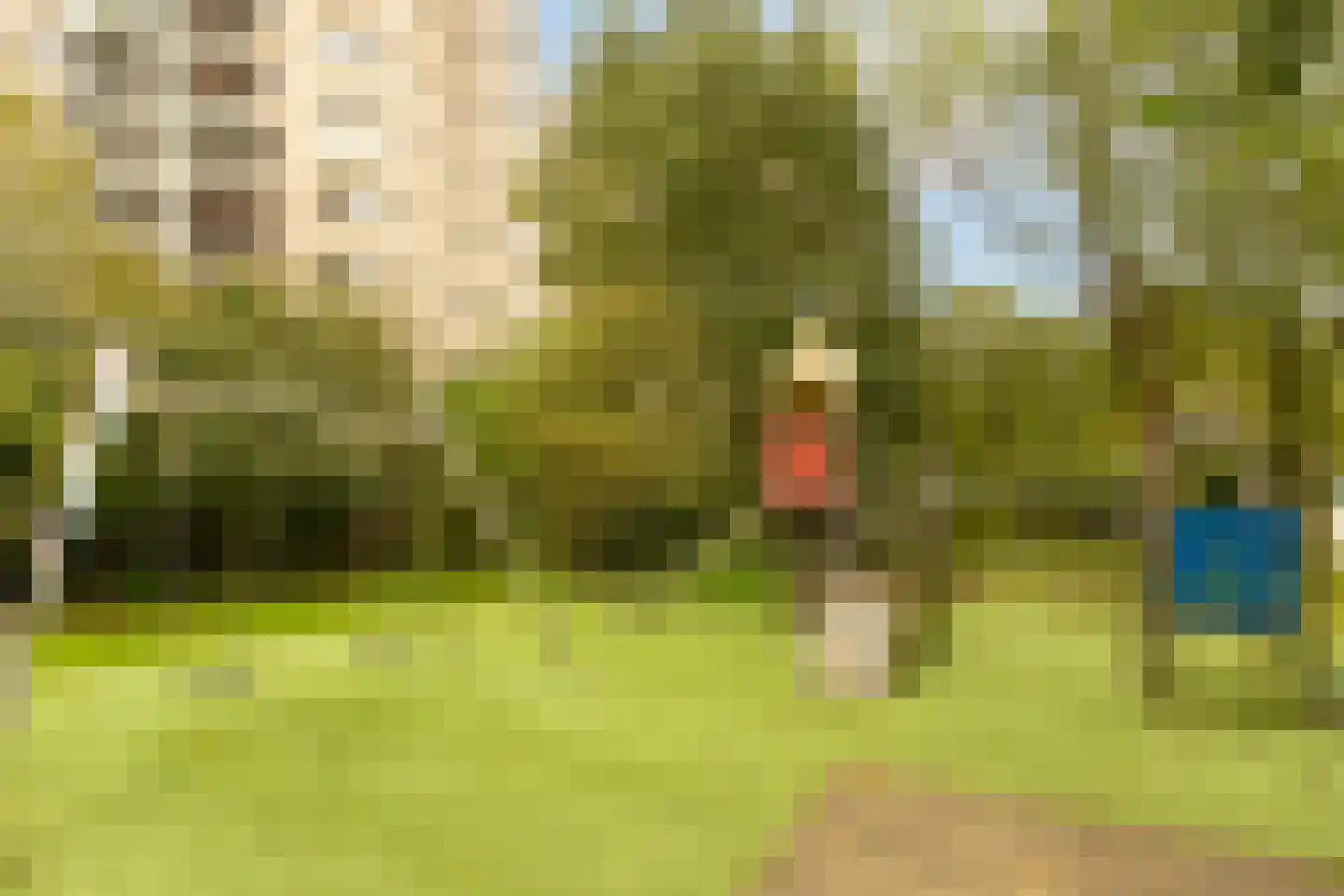 Groenhoven 626 Amsterdam thumbnail 35