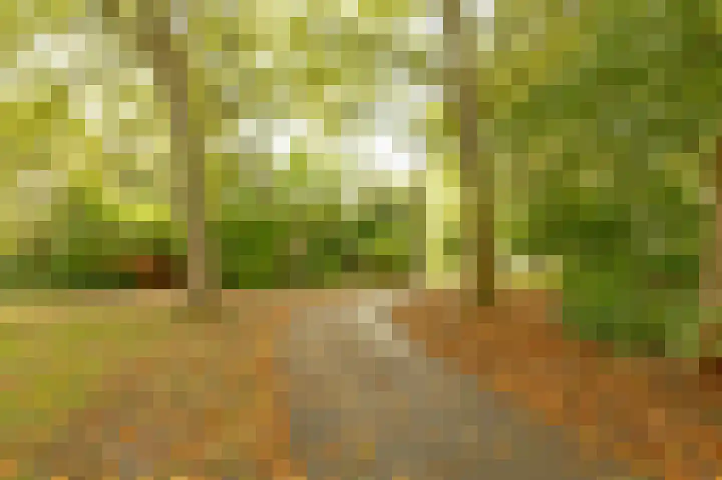 Groenhoven 626 Amsterdam thumbnail 37