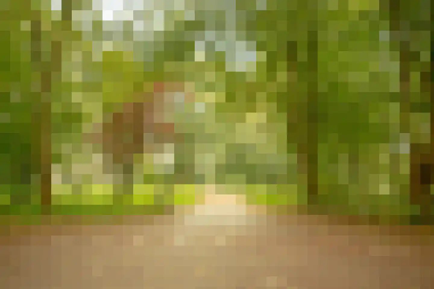 Groenhoven 626 Amsterdam thumbnail 38