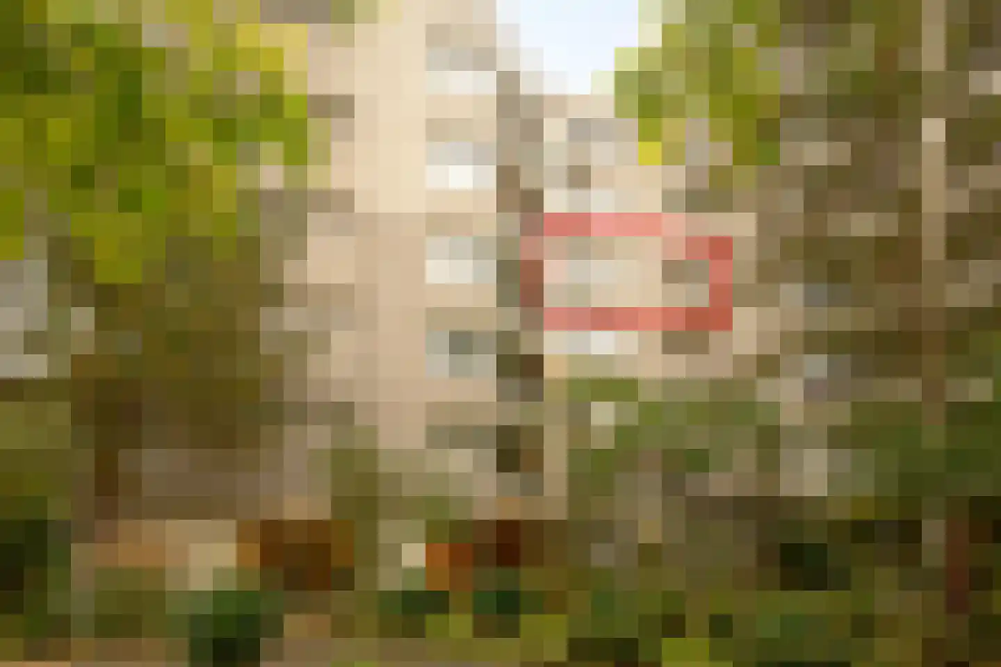 Groenhoven 626 Amsterdam thumbnail 4