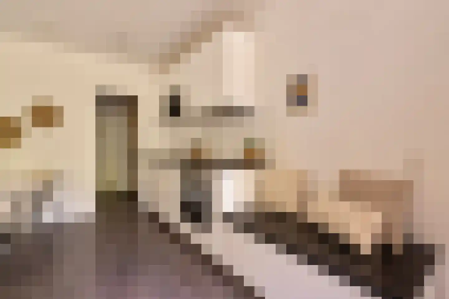 Groenhoven 711 Amsterdam thumbnail 14