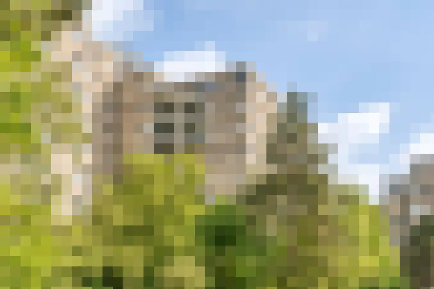 Groenhoven 711 Amsterdam thumbnail 27