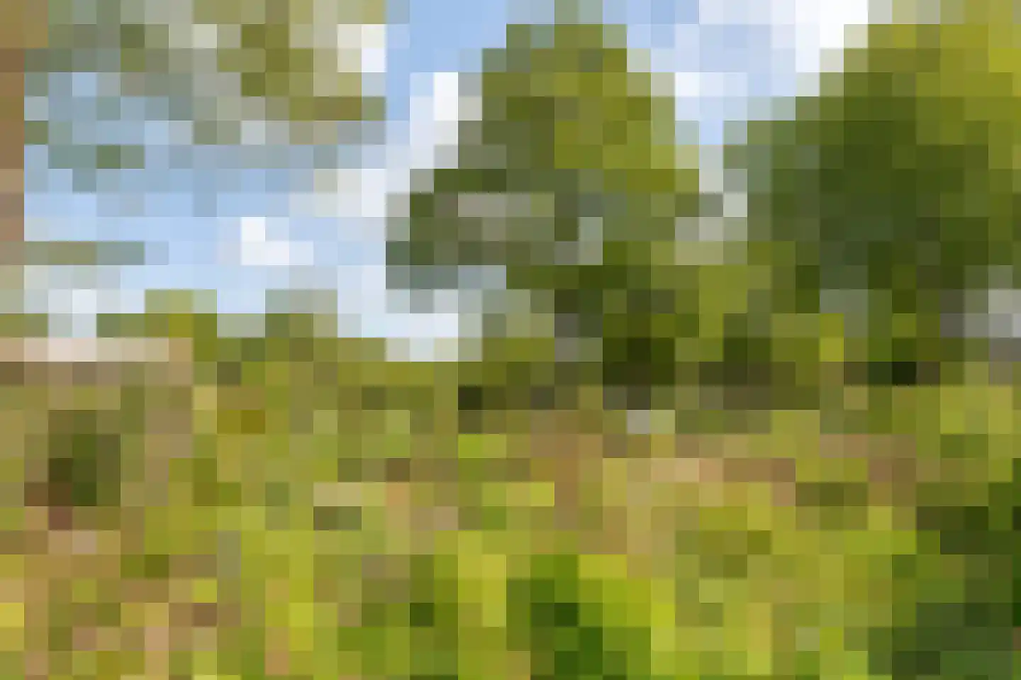 Groenhoven 711 Amsterdam thumbnail 29