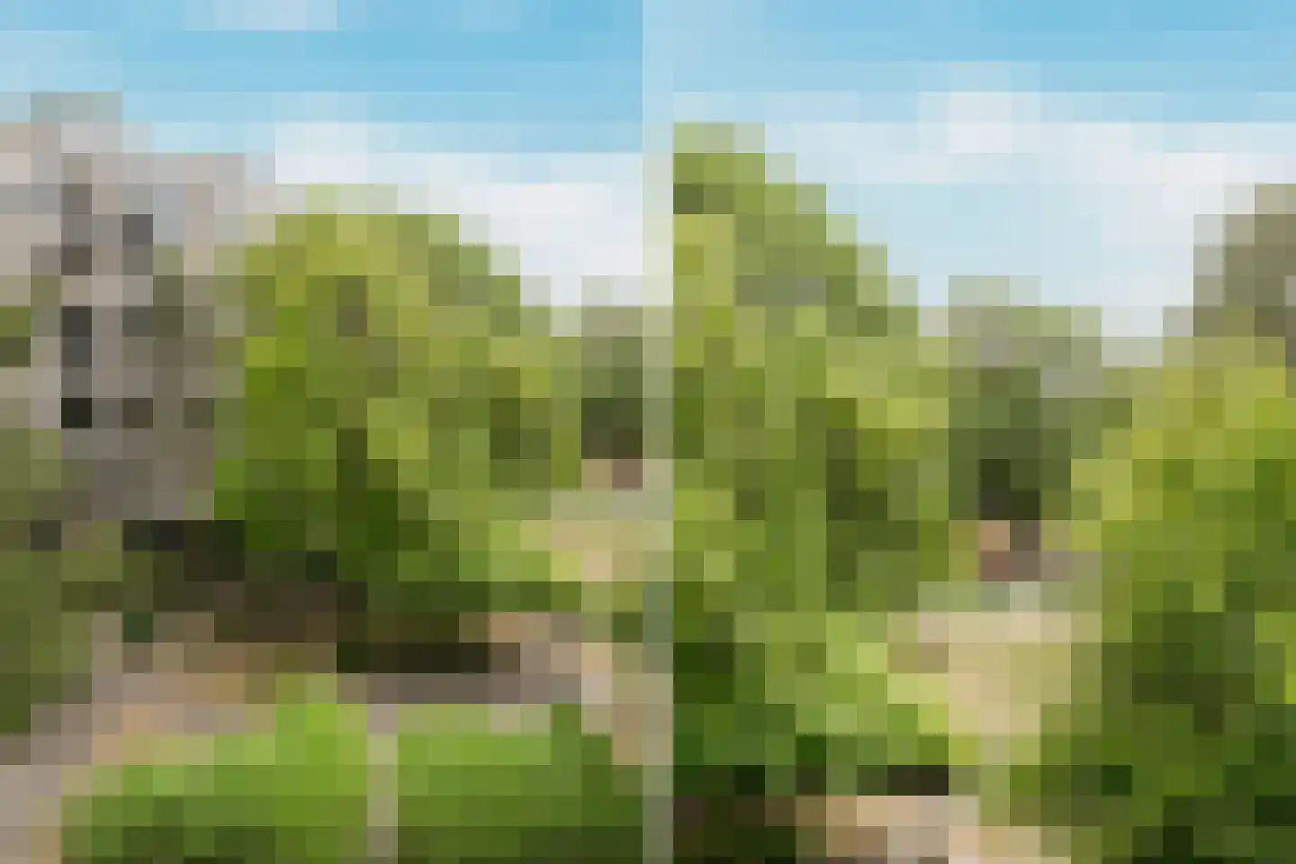 Groenhoven 713 Amsterdam thumbnail 22