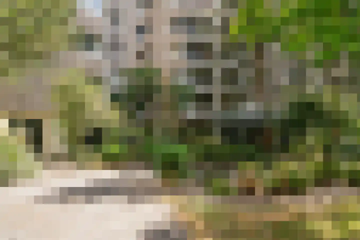 Groenhoven 713 Amsterdam thumbnail 26
