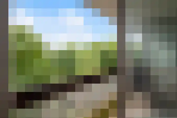 Groenhoven 729 Amsterdam thumbnail 17
