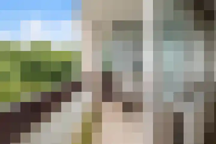 Groenhoven 729 Amsterdam thumbnail 18