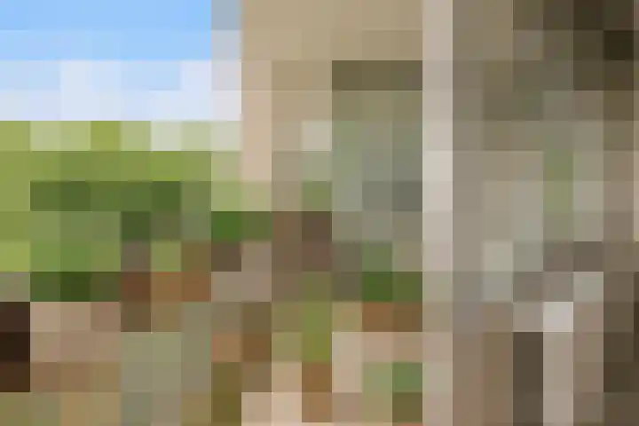 Groenhoven 729 Amsterdam thumbnail 19