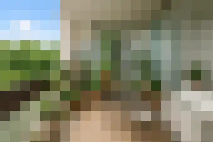 Groenhoven 729 Amsterdam thumbnail 20