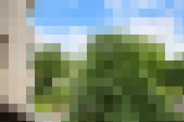 Groenhoven 729 Amsterdam thumbnail 21