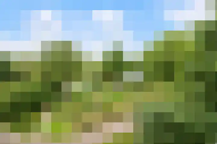 Groenhoven 729 Amsterdam thumbnail 22
