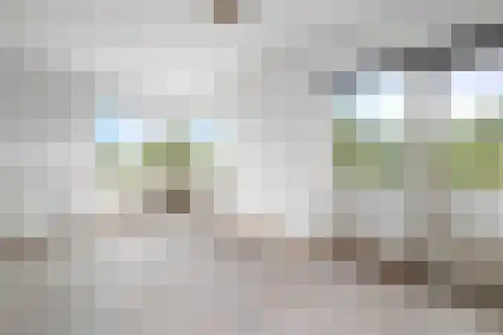 Groenhoven 729 Amsterdam thumbnail 23