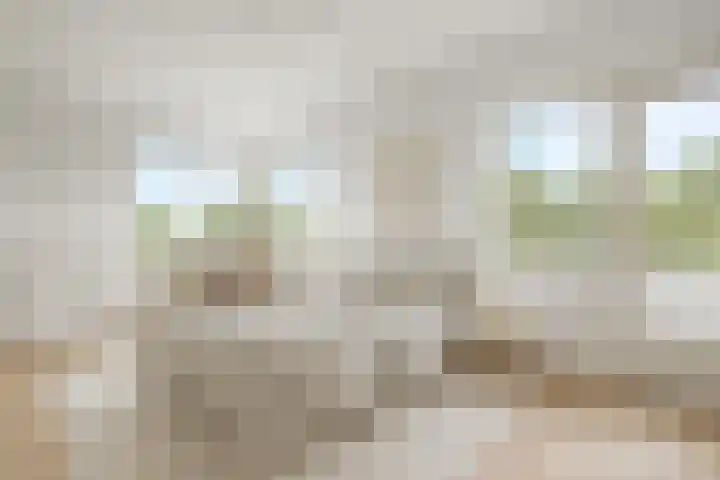 Groenhoven 729 Amsterdam thumbnail 24