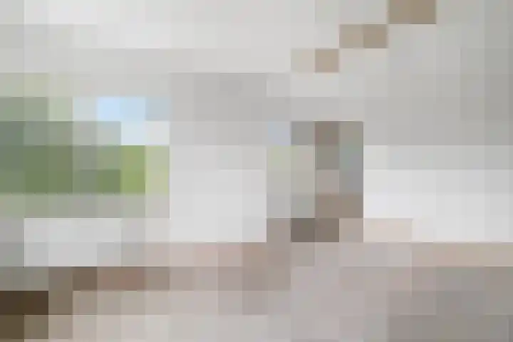 Groenhoven 729 Amsterdam thumbnail 25