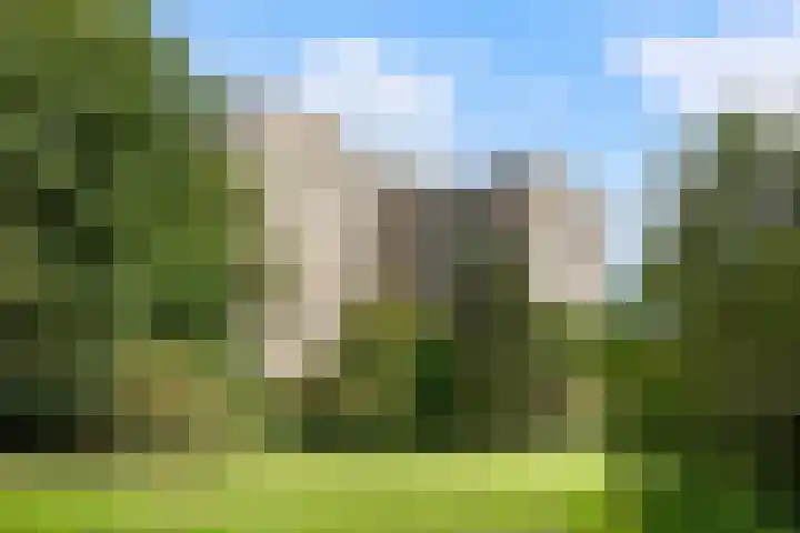 Groenhoven 729 Amsterdam thumbnail 28