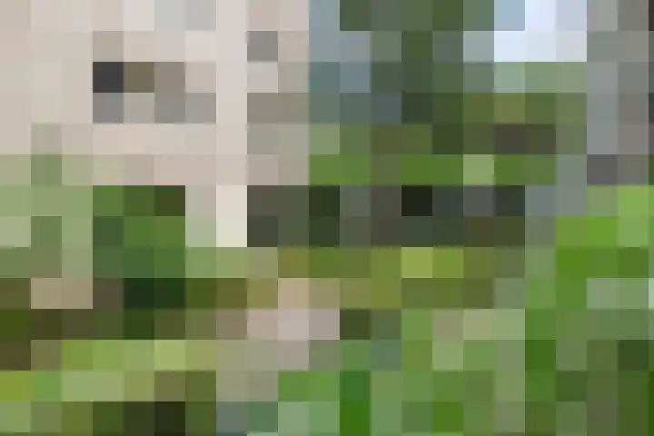 Groenhoven 729 Amsterdam thumbnail 30