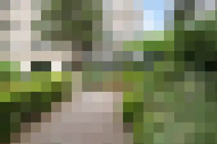 Groenhoven 729 Amsterdam thumbnail 31