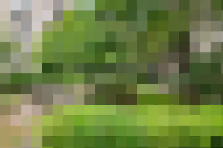 Groenhoven 729 Amsterdam thumbnail 32