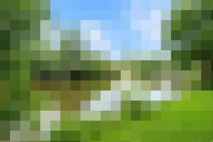 Groenhoven 729 Amsterdam thumbnail 33