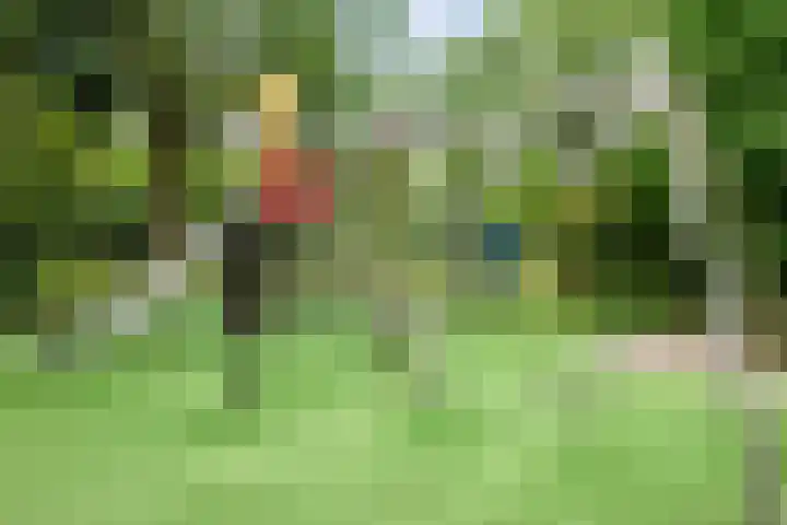 Groenhoven 729 Amsterdam thumbnail 34