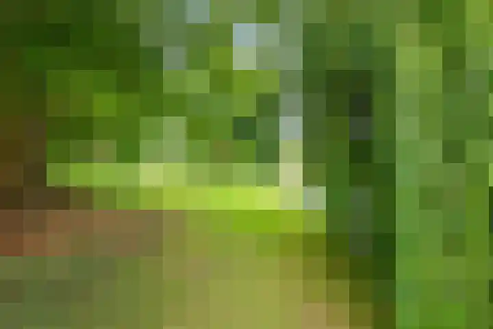 Groenhoven 729 Amsterdam thumbnail 35