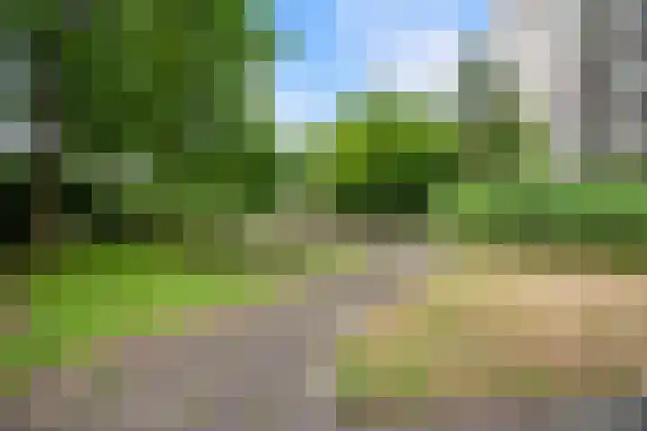 Groenhoven 729 Amsterdam thumbnail 36