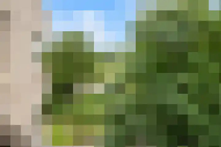Groenhoven 729 Amsterdam thumbnail 37