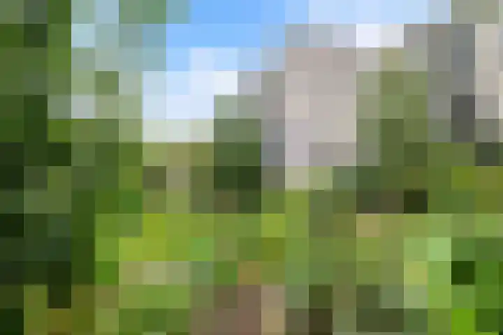 Groenhoven 729 Amsterdam thumbnail 5