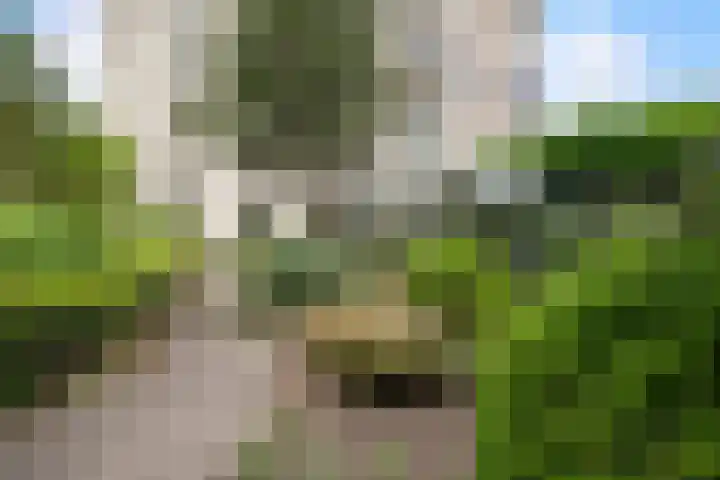 Groenhoven 729 Amsterdam thumbnail 6