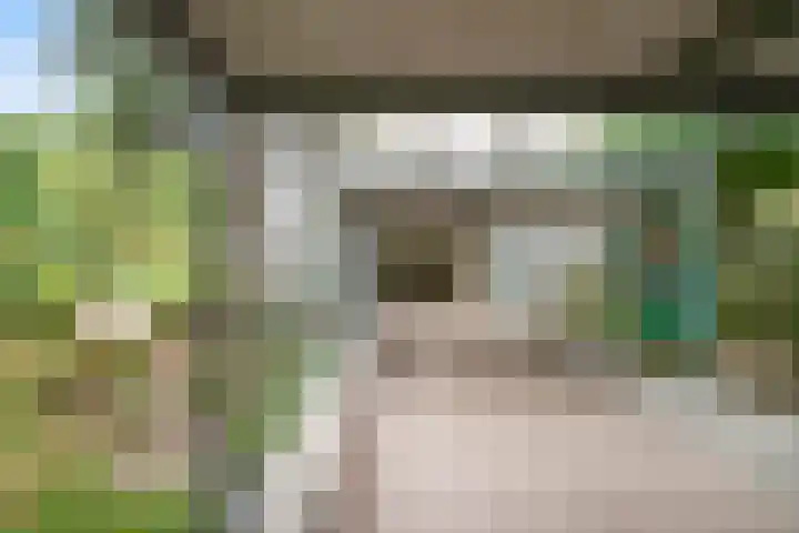 Groenhoven 729 Amsterdam thumbnail 7