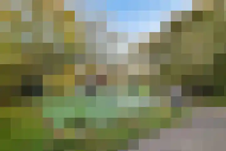 Groenhoven 738 Amsterdam thumbnail 22