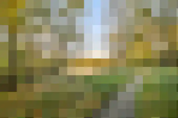 Groenhoven 738 Amsterdam thumbnail 23