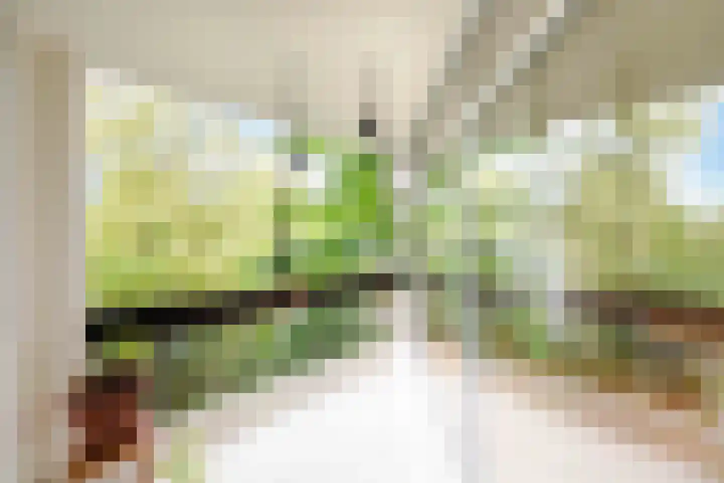 Groenhoven 812 Amsterdam thumbnail 13