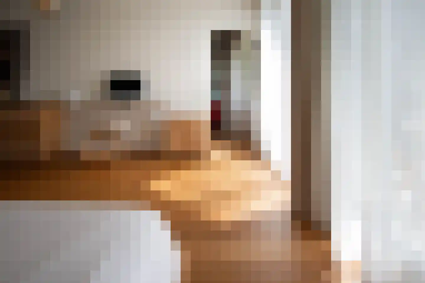 Groenhoven 812 Amsterdam thumbnail 20
