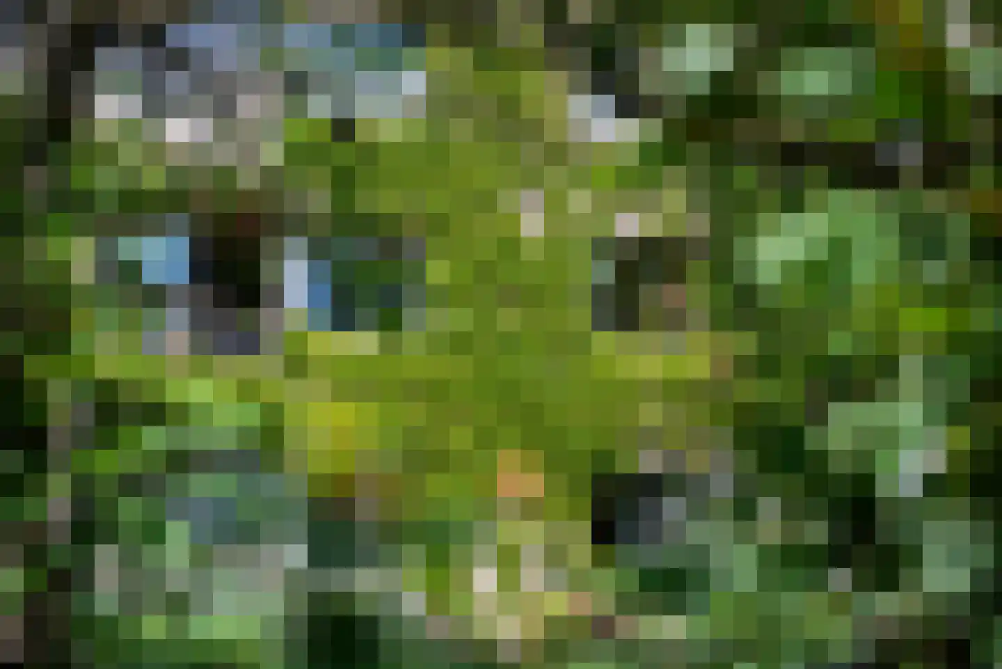 Groenhoven 812 Amsterdam thumbnail 35