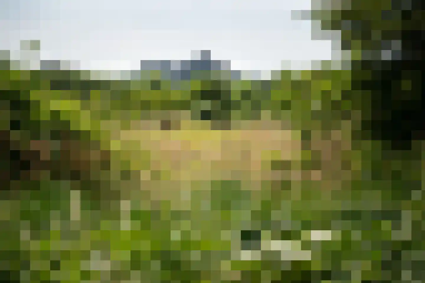 Groenhoven 812 Amsterdam thumbnail 36