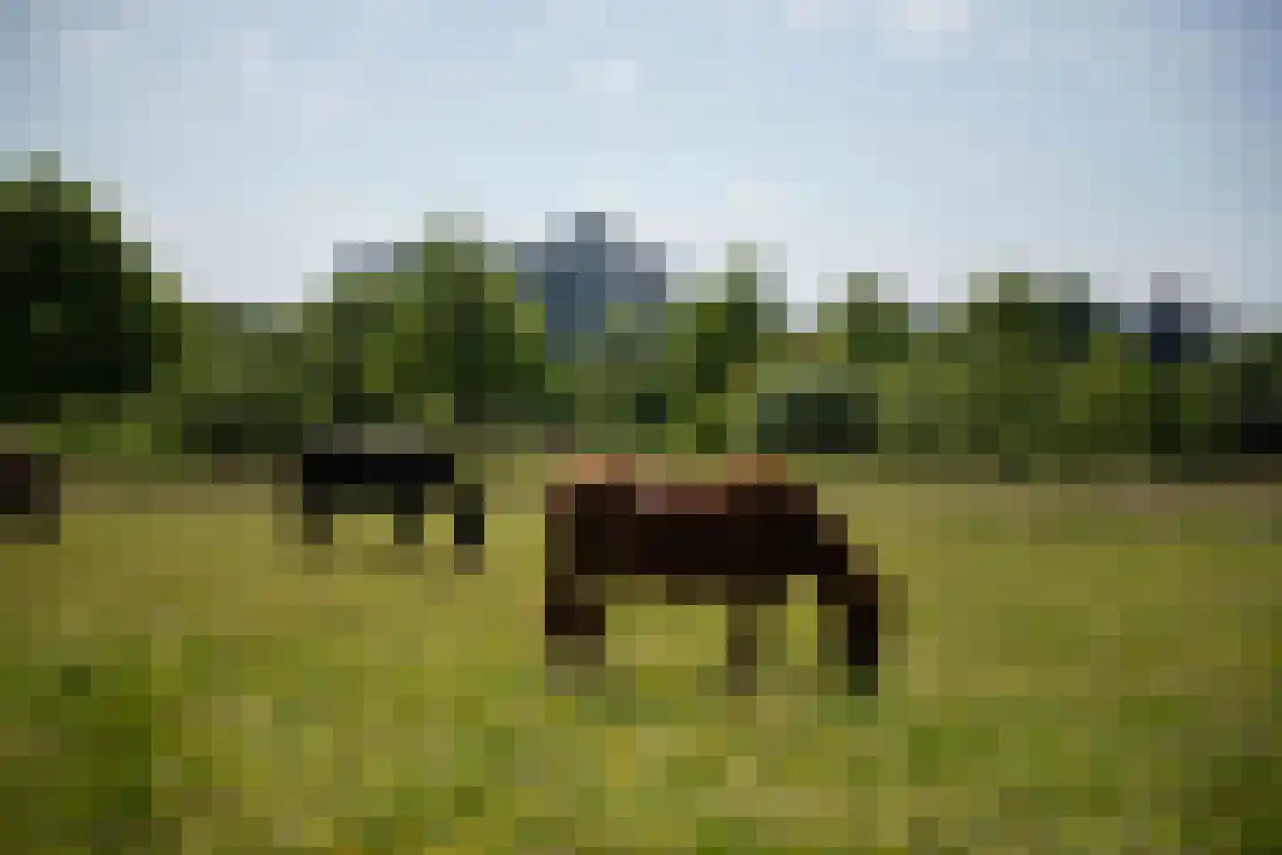 Groenhoven 812 Amsterdam thumbnail 38